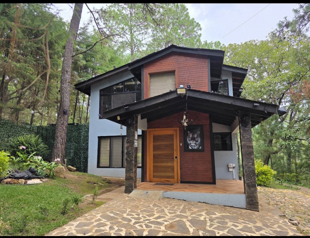 Fachada de Bagheera rodeada de pinos